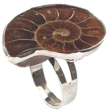 BHUEHSS - Anello regolabile unico alla moda con ammonite naturale Reliquiae, anello da dito con conchiglie fossili naturali, per donne e ragazze, See picture for size, lumaca fossile naturale