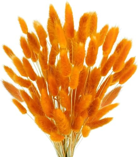 PacuM 120 Pièces Bouquet Fleurs Séchées Matières Premières de Fleurs SéchéesFleurs Séchées Peut Etre Coupée Librement Vase Pampa Style Bohème pour Salon la Chambre Le Bureau (Orange)