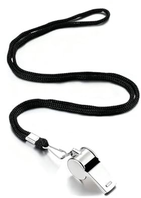 HONRIGO 2 Pack Stainless Steel Whistle with Cord Lanyard, Essential Metal Sports Whistles for Referees, Outdoor Activities