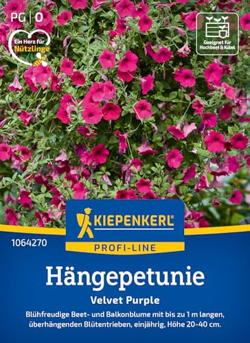 Kiepenkerl Profi-Line Hängepetuniensamen Velvet Purple 1064270 - Blühfreudige Beet- und Balkonblume - Höhe 20-40 cm - Blumensamen, Blumenwiese Samen
