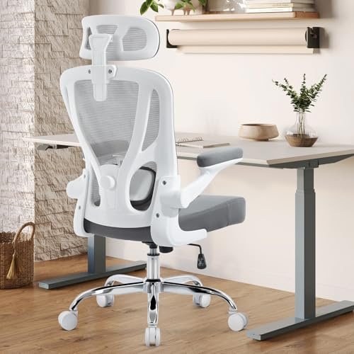 shipborne Ergonomic Office Chair, Mesh Office Desk Chair, Grey, 1 Pack