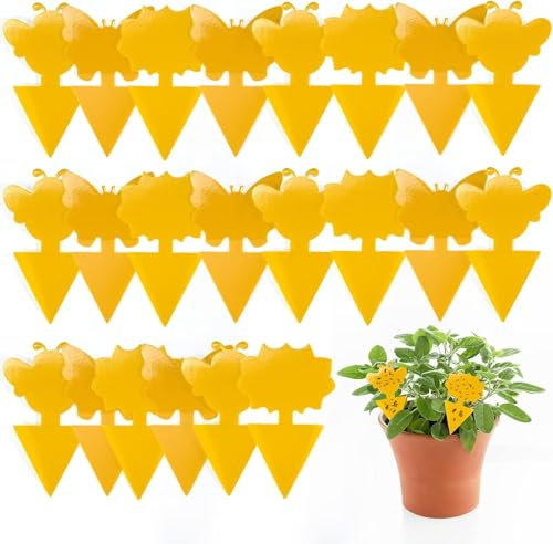 Kolamom 24 stycken gula tavlor mot begeistrade myggor, bekämpa sorgmyggor, bekämpa myggor, klibbiga fångare för skadedjursbekämpning för växter inomhus och utomhus