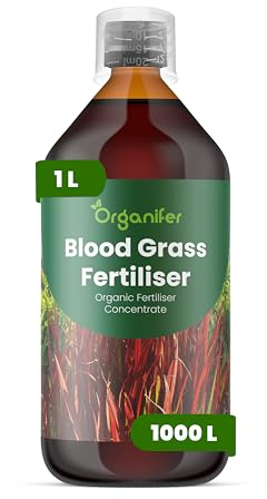 Flytande gödsel för blodgräs 1L – Organisk flytande gödsel för färgstarkt & robust bladverk – Främjar rötter & vitalitet – Organifer