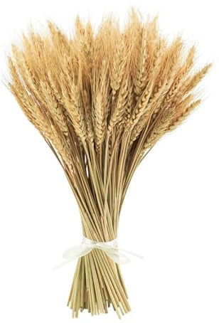 XHYASD 100 Piezas Espigas de Trigo Secas, 40cm Flores de Trigo Seco Naturales Ramo de Trigo Decorativo para Hogar Boda Fiesta Mesa Chimenea Vaso