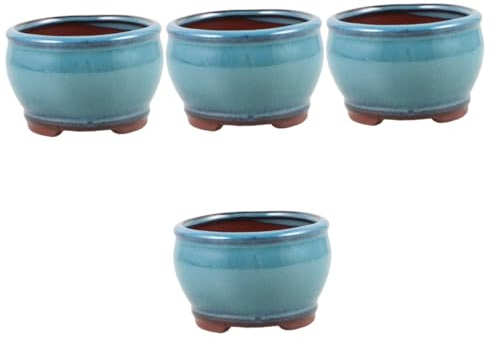 SUPVOX 4 Uds Suculentas Espárragos Planta En Maceta Decoración Floral Macetas Decoraciones Escritorio Suculentas Olla Decorativa Cactus De Escritorio De Arcilla