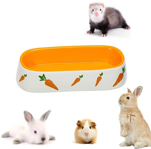 bangminda Bol en Céramique pour Lapin Carotte Mangeoire pour Rongeur Gamelle en Céramique de Lapin Chinchilla Cochon d'Inde Hamster Petits Animaux (Bol Long)