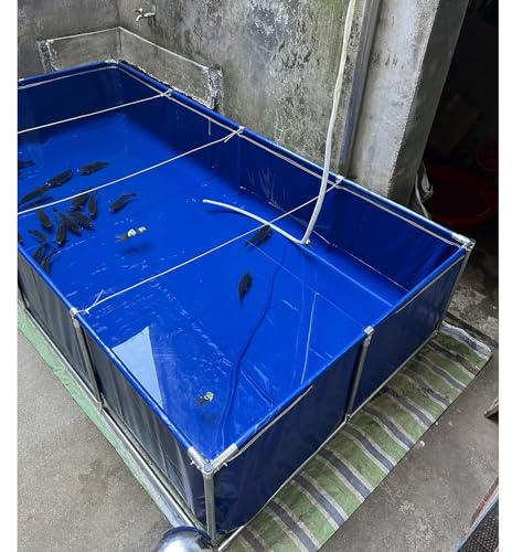 Genérico Estanque y Acuario Plegable Elevado para Peces, Tanque de Agua de 600 litros con Estructura galvanizada, Ideal para la diversión Familiar, la relajación y la natación. Tamaños Disponibles: d