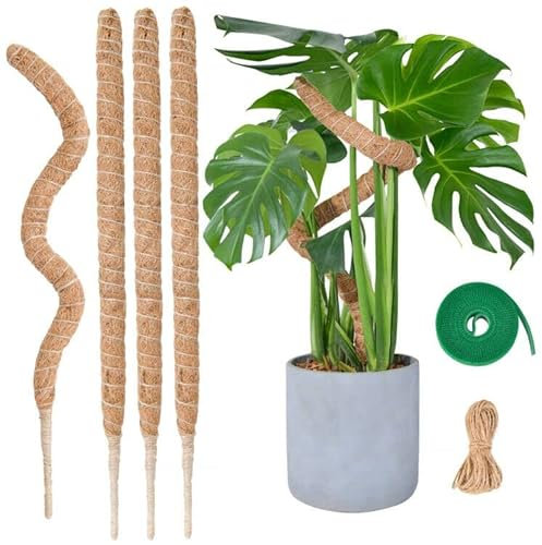 Poste de Musgo Plegable para Plantas, SproutMaven Kit de 4 x 60 cm de Poste de Musgo de Monstera para Plantas Trepadoras Estacas Delgadas Hechas a Mano para Plantas de Interior