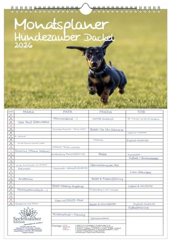 Hundezauber Dackel Planer Familienplaner 4 Spaltenplaner DIN A3 Kalender für 2026 Welpen und Hunde - Seelenzauber