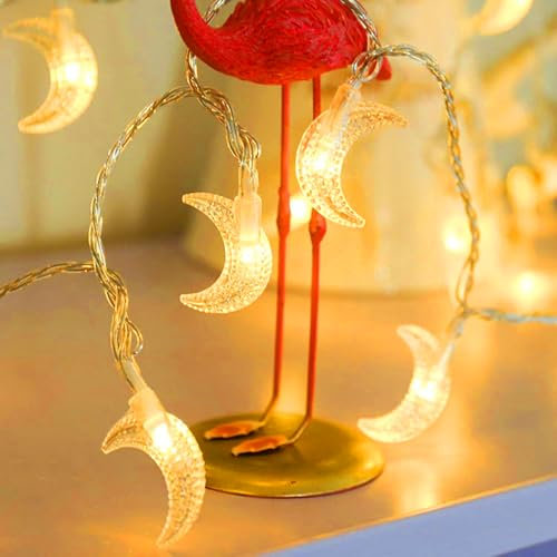 MUCHER String Lights Star Fairy Lights with 6M 40 LED Decorative Lighting for Anywhere (Warm White) (Moon)