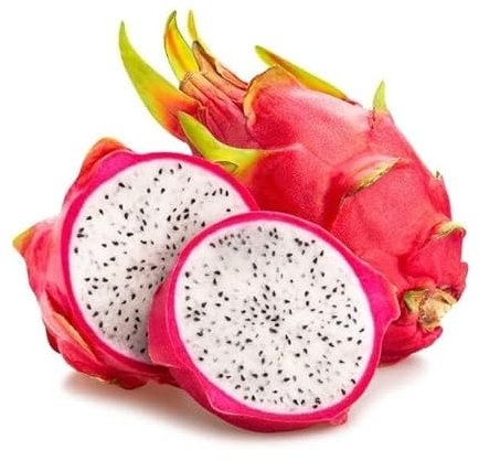 50 Graines FRUIT DU DRAGON - Pitaya BLANC - Hylocereus undatus - Fruit Fleur Jardin - 298