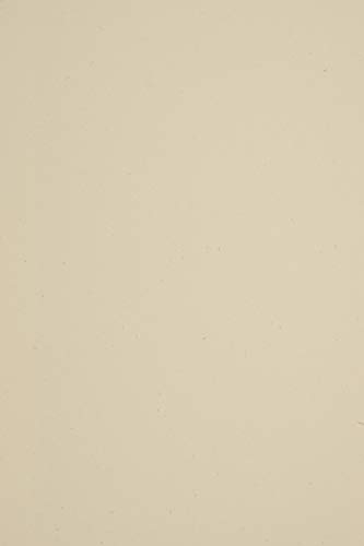 Netuno 20x cartoncino riciclato ecru A4 210x 297 mm 285g Woodstock Betulla cartoncino grosso naturale ecologico a4 vintage retrò per etichette partecipazioni inviti biglietti da visita Natale Pasqua