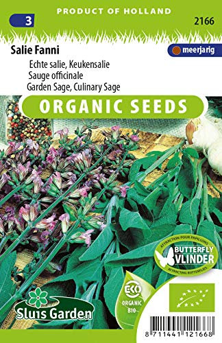 Sauge officinale - Graines Biologiques