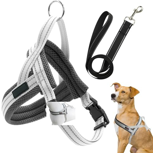 DKDDSSS No Pull Dog Harness, Breathable Adjustable Mesh Pet Harness, Reflective Escape Proof, Includes 1.5m Leash (M, Grey)