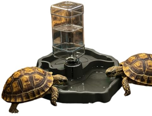 Bol d'eau pour Reptiles avec Bouteille, mangeoire Automatique 2 en 1 en Plastique et Distributeur d'eau pour Tortues, lézards, Gecko, Serpent, Scorpion, Plat pour Reptiles (Noir)