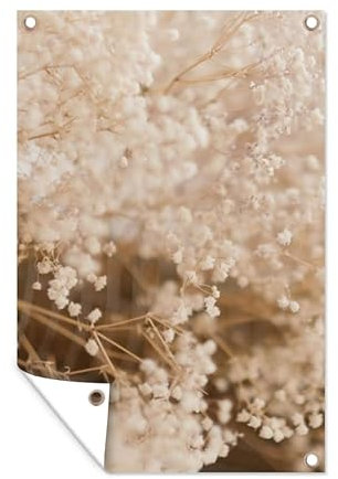 MuchoWow Poster exterieur Herbe de la pampa - Plante - Nature Decoration murale 60x90 cm Résistant aux intempéries/soleil