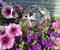 Jürgen Bocker Gartenambiente Dekorationskugel Flower Edelstahl matt gebürstet Dekokugel (15 cm)