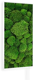 Könighaus Bildinfrarotheizung - 800 Watt | 5 Jahre Garantie | Doppelter Überhitzungsschutz | Ultraflacher Heizkörper für 11-21 m² | Rahmenfarbe: Weiß | Motiv: 07. Moos