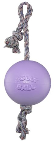 Jolly Pets Romp-n-Roll Rope and Ball Dog Toy, 6 Inches/Medium, Light Purple