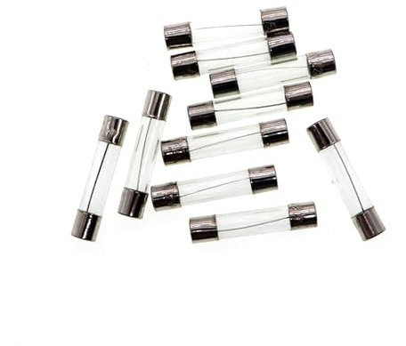 6 x 30 mm 2 A 2 amp 250 V 250 volt 0,23 x 1,18 tum F2AL250 V snabbladdningsglassäkring (förpackning med 10)
