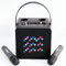 Portable Karaoke Machine & Speaker, 2 Wireless Microphones, LED Light Display, Wireless Connectivity, Perfect for Adults and Kids