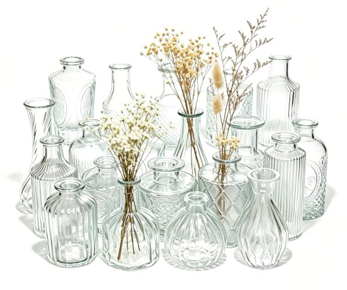 Ruyosn Juego de 20 Jarrones Decorativos de Vidrio Transparente - Mini Floreros Vintage para Centro de Mesa, Decoración Hogar, Boda y Eventos (8-13cm)