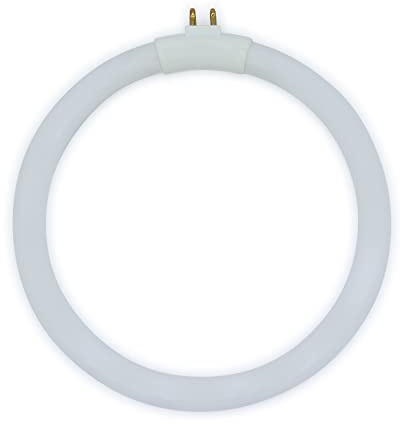 Technical Precision Ampoule tube rond fluorescent de type T4 12 W de rechange pour lampes de bureau VTLAMP10 13,7 cm OD Tube circulaire G10q-4 4 broches Base carrée – Lumière 6400 K – 1 paquet