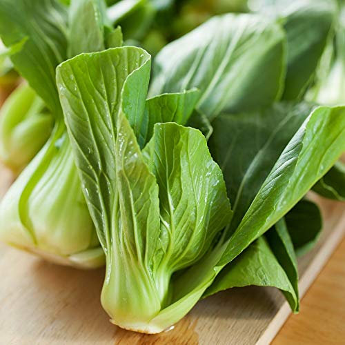 chinois Chou Pak Choi Graines - Brassica chinensis