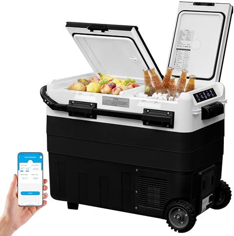 WOLTU Kompressor Kühlbox elektrisch Gefrierbox 50L Dual Zone mit App-Steuerung USB-Anschluss, 12 V/24 V, Mini Kühlschrank Klein Gefrierschrank Kühlung bis -20 °C für Auto Lkw Boot Camping