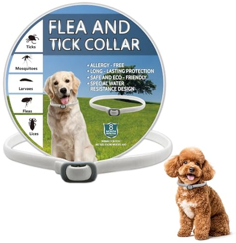 Collier Anti-Puces pour Chien, Protection Durable et Naturelle, 100% Huile Naturelle, Résistant à l'eau, Ajustable, Protection jusqu'à 8 Mois, Convient aux Chiens de Toutes Tailles