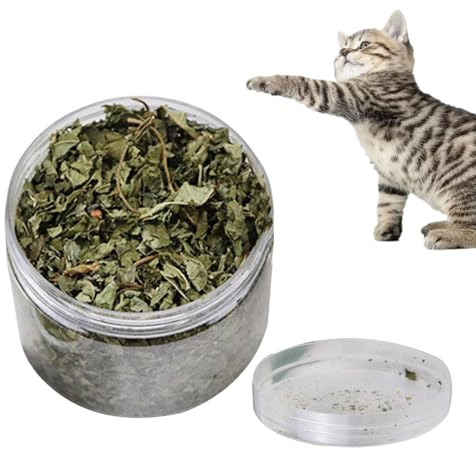 Erba gatta naturale | 40 g di foglie naturali di erba gatta per la pulizia dei denti | Snack lenitivi per gatti essiccati a terra per gatti, gatti sani per rilassarsi, salute orale, gatti da interno