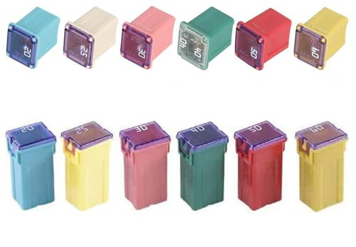 Gebildet 12st 12V-24V Automotive Låg/Hög Profil Jcase Box Formad Assorted Säkring för Lastbilar, Bilar och SUV, Båt(20A/25A/30A/40A/50A/60A)