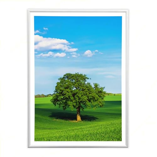 Sicignano | Cornice Bombata Moderna 50x70 cm in Legno Bianco con Pannello MDF Robusto Vetro Crilex - Portafoto da Parete Orizzontale Verticale, per Foto Quadri Poster Documenti Diploma Laurea