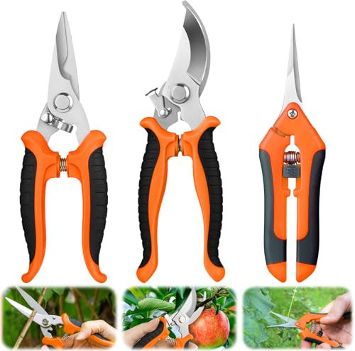 HYran Gartenschere Set, Bonsai Schere, Pflanzenschere, 3 Stücke Blumenschere, Rosenschere aus Edelstahl, Kleine Astschere, Gartenscheren für Baumzweige, Blumen, Früchte, Pflanzen