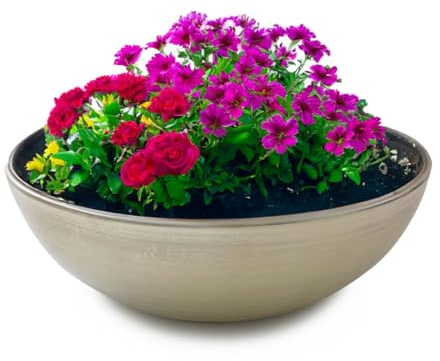 Matches21 Bac à plantes pour l'extérieur, décoratif, moderne, beige, avec film comme pot de fleurs, 25 x 9 cm, pour décoration de jardin, bain d'oiseaux, balcon, salon