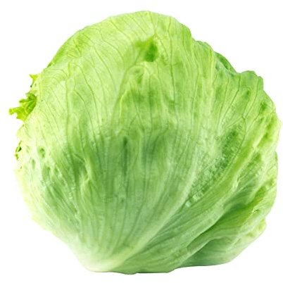 Eissalat Samen Fortunas RZ Salat Gemüse Saatgut Garten Hochbeet Lausfrei Salatsamen ca 100 Korn AlexLand