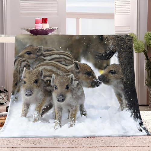 okoikfc Coperta Pile 130 x 150 cm Cinghiale Coperta 3D Animale Coperte per Bambini/Singolo, Plaid Pile in Flanella Morbida Caldo per Letto e Divano k1437