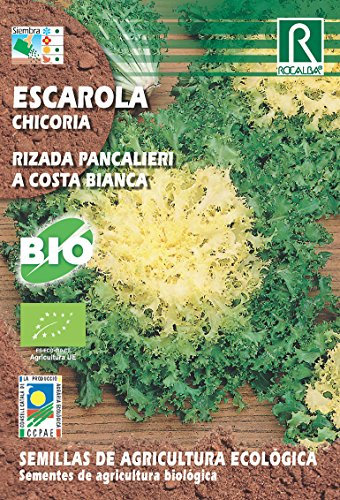 Semillas ECOLOGICAS Escarola Rizada Pancalieri 5 gr.