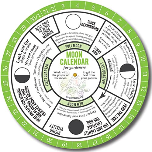 Calendrier lunaire pour jardiniers. Jardin en harmonie avec les phases de la lune. Les méthodes de jardinage biodynamiques et les anciens agriculteurs almanach utilisent le cycle lunaire pour la