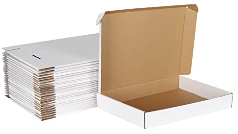 HORLIMER 25 Stück Maxibriefkarton 350x250x50mm DIN A4 Weiß Maxibrief Versandkarton für DHL DPD GLS Hermes Warensendung, Büchersendung, Geschenkbox