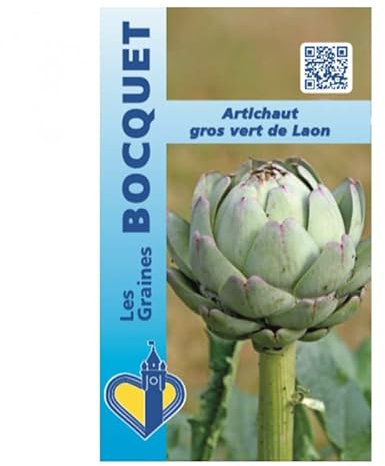 Sachet de graines de Artichaut gros vert de Laon - 2 g - légume fleur - LES GRAINES BOCQUET