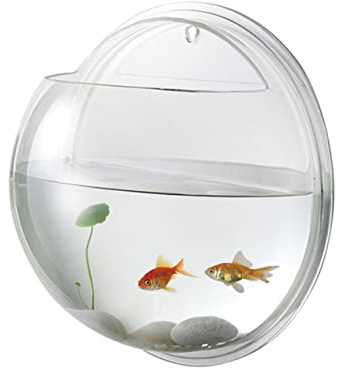 DECHOUS Transparent Acrylic Wall Mounted Fish Tank Bowl Space Saving Hanging Aquarium for Fish and Plants Durable Diameter Wall Decor with View Easy Installation for Home and Random Color