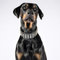 Bestia™ Stud Echtleder Hundehalsband mit Stumpfnieten für große Hunde. Weich gepolstert. 6,3 cm breit. Einzigartiges Design und Qualität. Cane Corso, Rottweiler, Dogo. Handgefertigt in der EU!