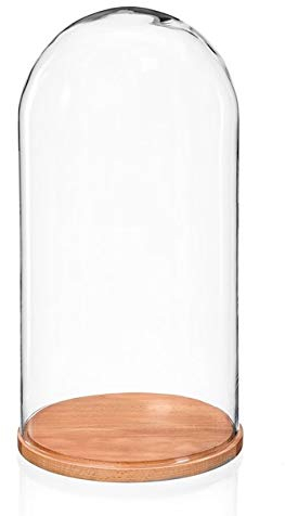 EMH Campana pequeña de cristal con base de madera natural, 20 x 10 cm