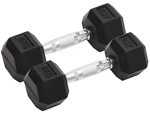 vidaXL Hantel 2-pack, 8 kg, gjutjärn