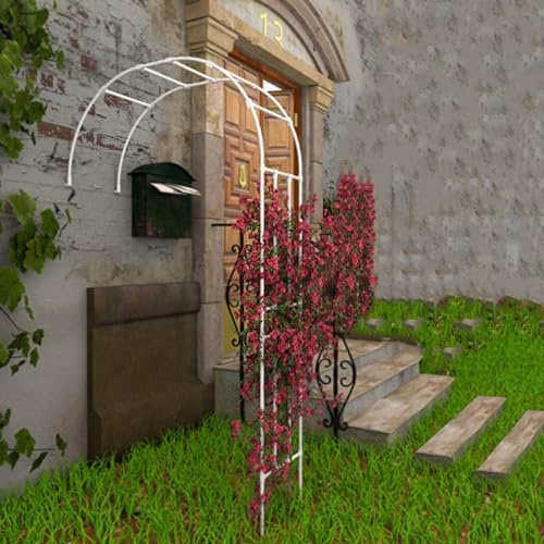 Arco de jardín de metal de 2,4 m, arco de rosas para plantas trepadoras, enrejado al aire libre, diseño de medio arco, blanco, tamaño: 250 x 240 x 40 cm, perfecto para decoración de jardín y soporte
