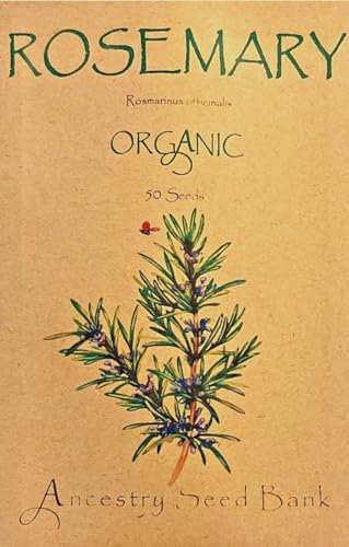 Organic Rosemary ❁ x50 Seeds Heirloom Herbs - Non GMO