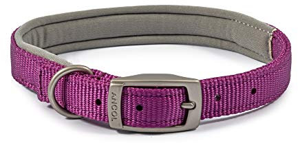 Ancol Padded Viva Dog Collar with Buckle - Purple Durable Walking Accessory for Dogs Puppies - Size 5 Fits 39-48 cm Neck