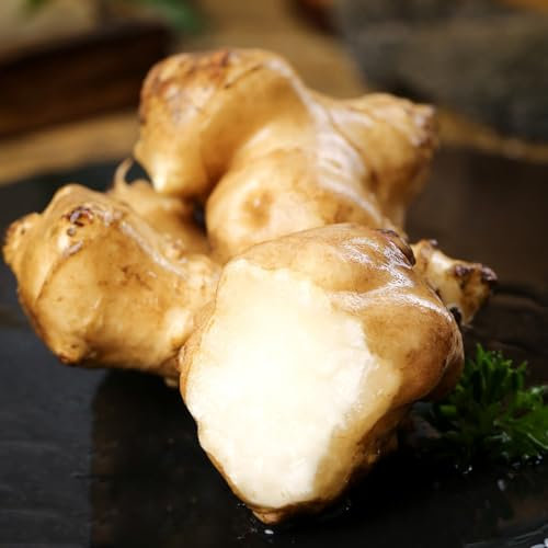 6 pcs topinambur saatknollen zum pflanzen Zwiebeln, topinambur - knollen, topfpflanzen echt zwiebeln topinambur kaufen - Helianthus tuberosus - seltene pflanzen, kräutergarten geschenk