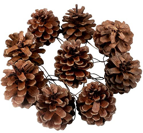 TRIXES Pack of 9 Decorative Hanging Pinecone Christmas Tree Decorations